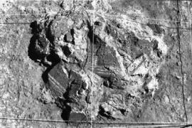 Salle D/Galerie occidentale.