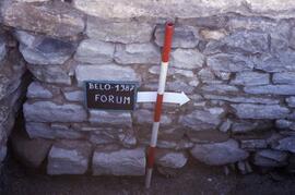 Forum (S. F5)/Près de la base de l'arc.