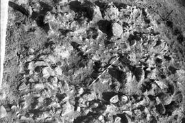 Necrópolis SE/NECR. EST./A-B-33.