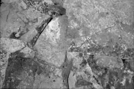 Sector III /Oeste Forum.