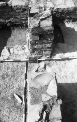 Secteur III/Seuil 5 VIII.