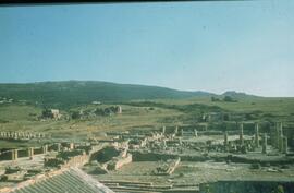 Vue générale. Vue du sud.