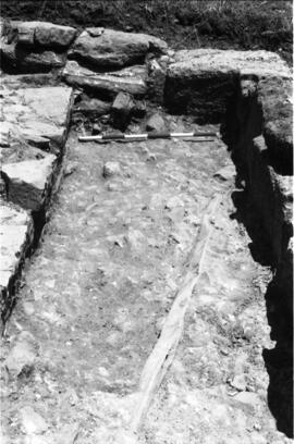 Liaise Cardo-Decumanus.