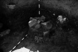 Necrópolis SE/Corte C/ T. 7.