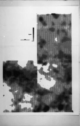 Prospections Kermorvant.