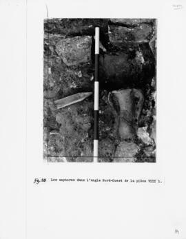 Fig. 18 : Les amphores dans l'angle Nord-Ouest de la pièce VIII 1.