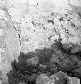 AZ 9.