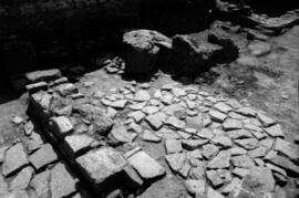 Sector I Sur/Sur Basílica/S.I ESTE/g-h-4.