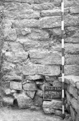 Bâtiment F/Sondage escalier.