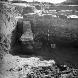 Nécropole SE/Corte D/T.20.