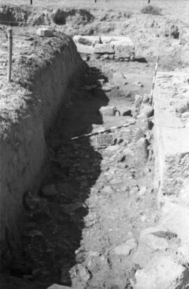 Necrópolis SE/NECR. EE-FF/42-43/C. I SUR.