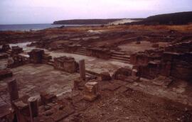 Terrasse Forum/Galerie Ouest.