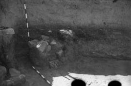 Necrópolis SE/Corte C/ T. 7.