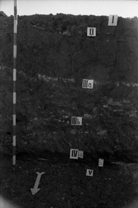 Vue prise en 1976.