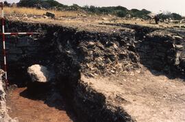 Secteur III/Vue ensemble salle VIII 1.