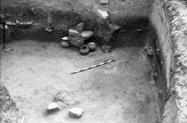 Nécropole SE/Corte C/T.11.