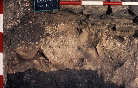 Original Digital object not accessible