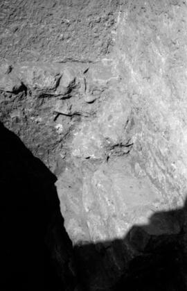 Sondage basilique (Sillières).