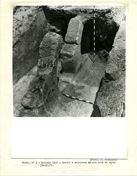 Photo. nº 5- Bolonia 1967-Bassin à salaisons aux arcs en ogives (24.CC.V).