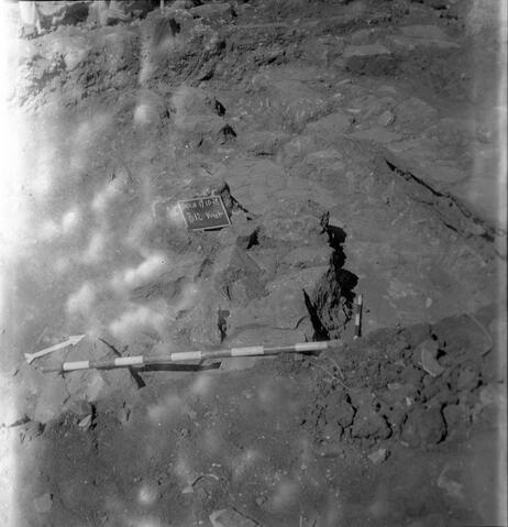 Original Digital object not accessible