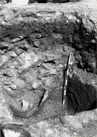 Original Document numérique not accessible