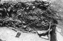 Basilique/S I/F1/Zone 2.