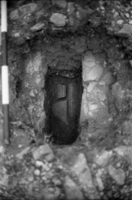 Liaise Cardo-Decumanus.