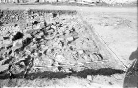 Secteur II, III y IV/G 11.