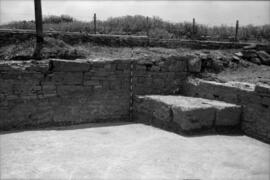 Sector III /Oeste Forum.