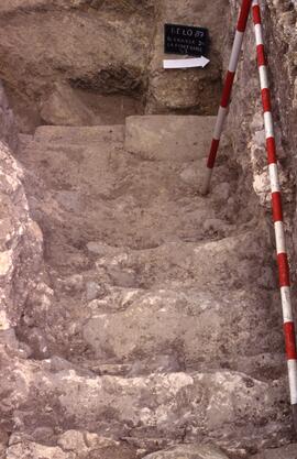 Terrasse Forum (S. T3).