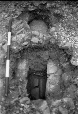 Liaise Cardo-Decumanus.