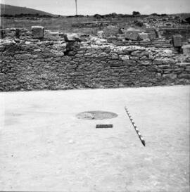 Sector III /Oeste Forum.