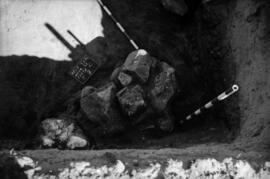 Necrópolis SE/Corte C/ T. 7.