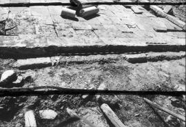 Portique septentrionale.