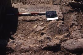 Bâtiment F. Sondage F1. Sous escalier NE.