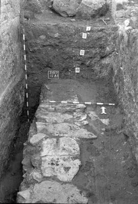 S. II A.I et C.I/S. II A 1.