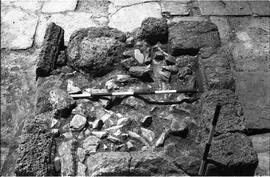 Salle D/Passage H/Forum piédestral.