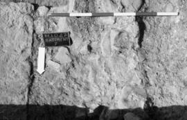 Bâtiment F/Sondage escalier.