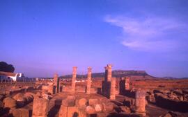 La basilique. Vue de l'ouest.