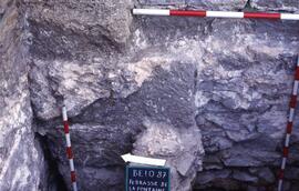 Terrasse Forum (S. T1)/Sondage angle NE (T1). Vue du mur ouest de l'escalier est d'accès aux temp...