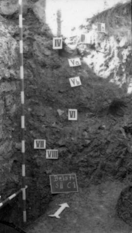 S. II A.I et C.I/S. II C 1.