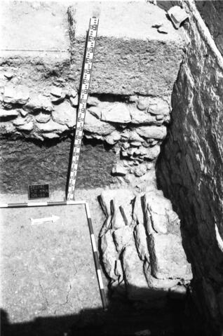 Original Digital object not accessible