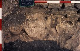 Secteur III/Vue verticale angle NE S. VIII 1.