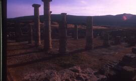 Basilique (Vue de l'Est).