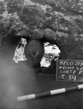 Nécropole SE/Corte F/T.34.