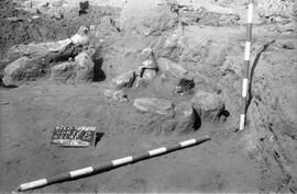 Nécropole SE/Corte D/T.15.