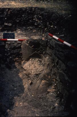 Secteur III/Angle NE de S. VIII 1.