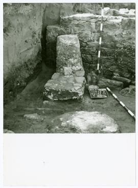 Nécropole SE 74/Corte D/T.20.