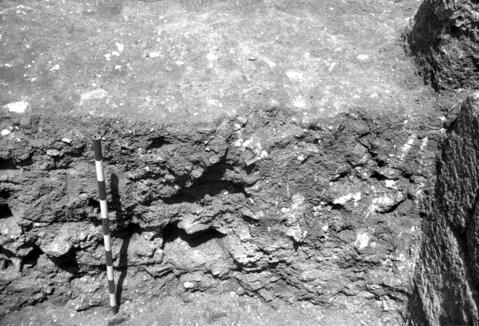 Original Document numérique not accessible