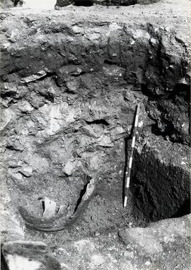 Belo oct. 1979. C 11/ pièce NE. Cuve C. Apparition de 2 dolia rencontrés l'un dans l'autre.